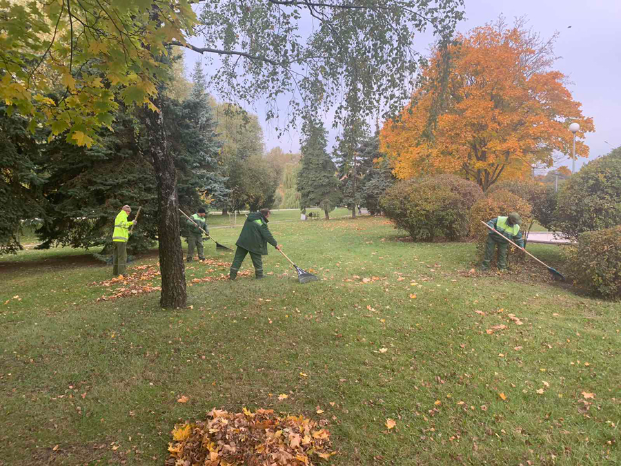 2 октября 2021 года на бульваре Пулихова был проведен субботник по уборке озеленённых территорий от опавшей листвы