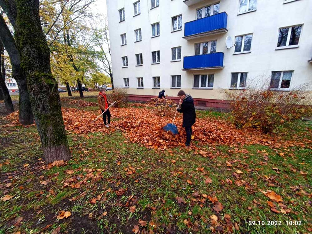 КУП "ЖКХ Партизанского района г.Минска" продолжает наводить порядок на придомовых территориях