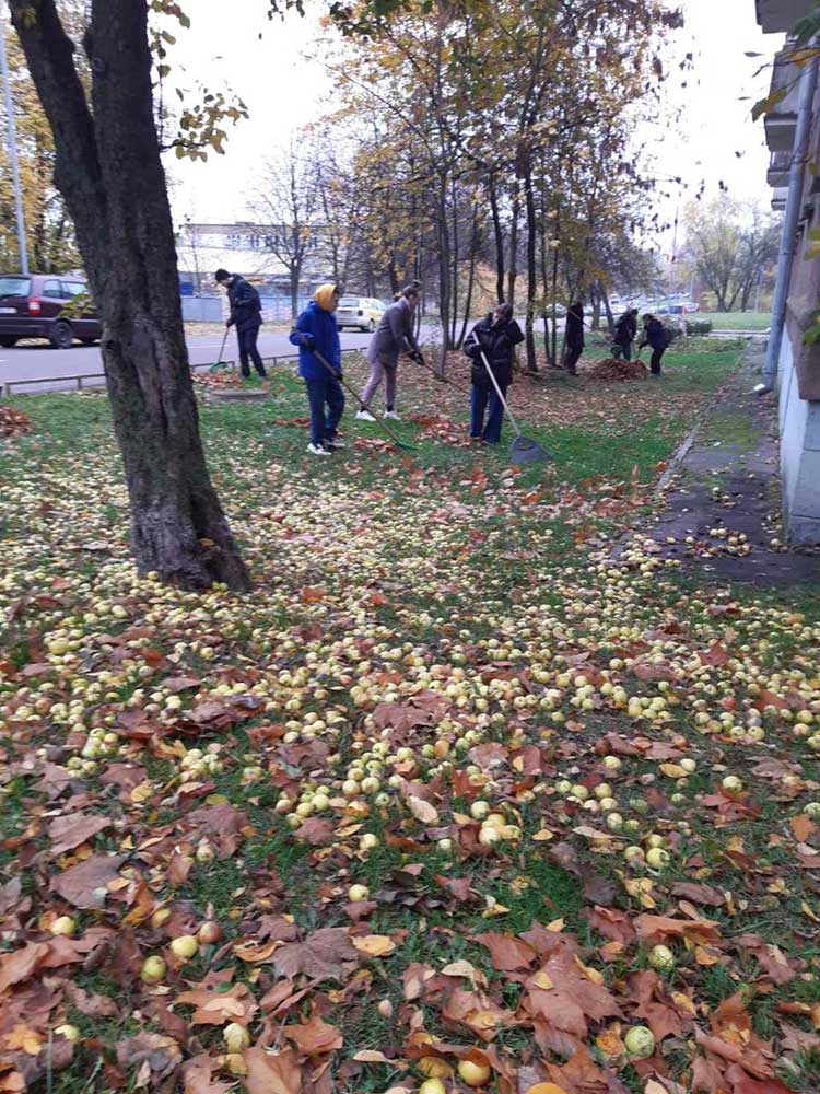 Продолжается месячник по санитарной очистке и благоустройству города